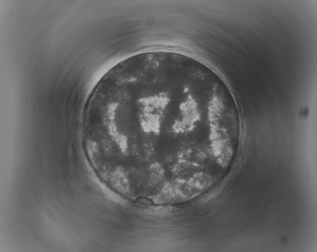 X0000110961533200907311054