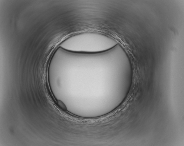 X0000110970002200906191120