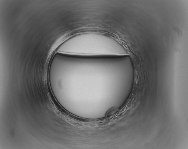 X0000110970004200906191120