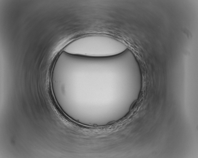 X0000110970005200906191120