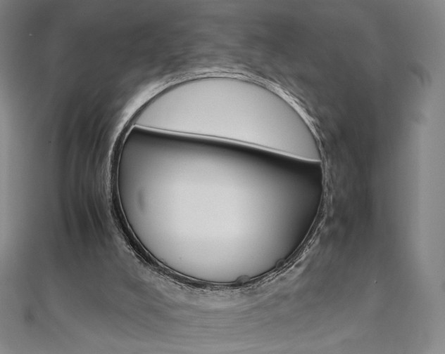 X0000110970008200906191120