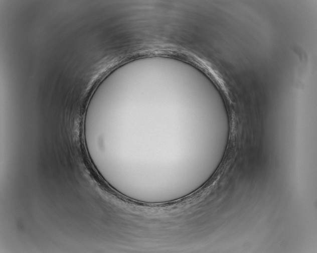 X0000110970010200906191120