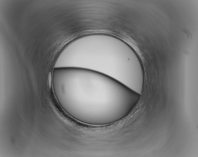 X0000110970013200906191120