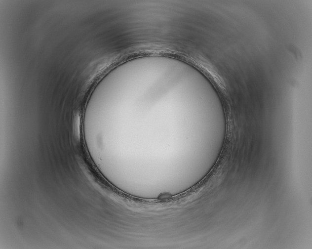 X0000110970014200906191120