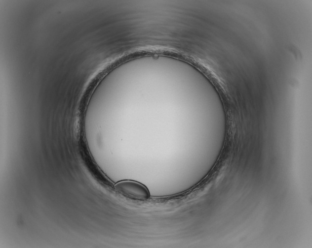 X0000110970016200906191120