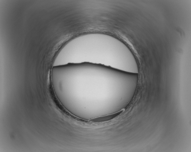 X0000110970019200906191120
