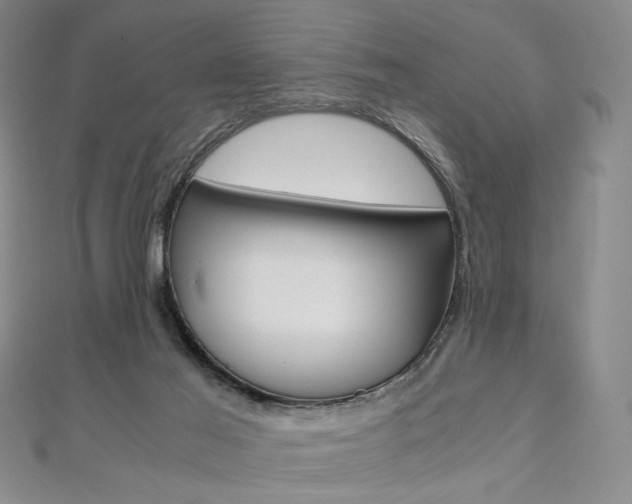 X0000110970021200906191120