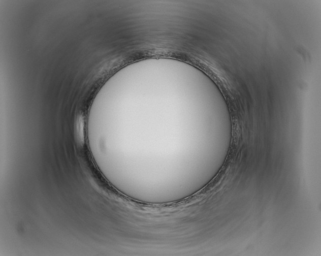 X0000110970022200906191120