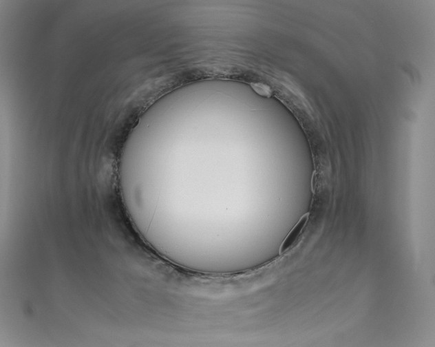 X0000110970029200906191120
