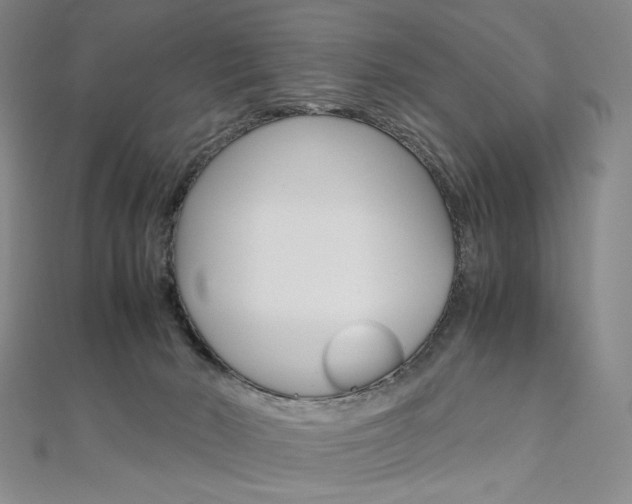 X0000110970030200906191120