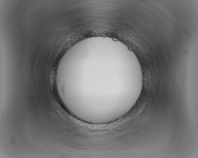 X0000110970038200906191120