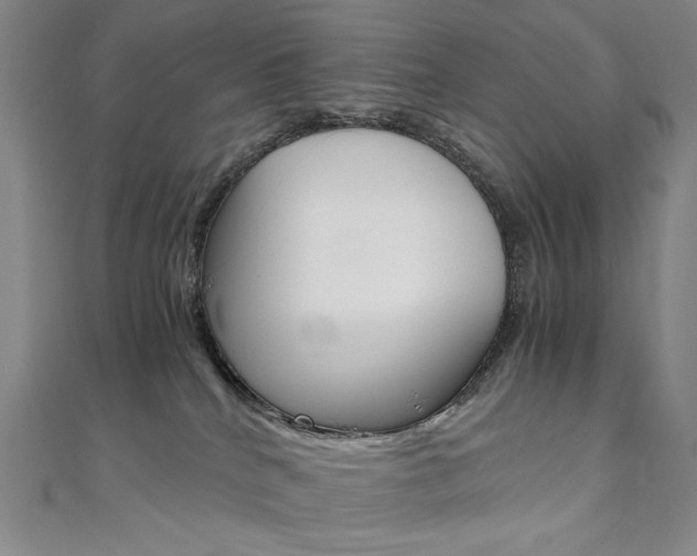 X0000110970040200906191120