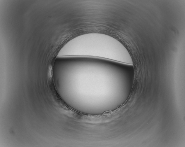 X0000110970041200906191120