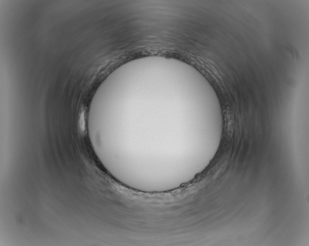 X0000110970042200906191120