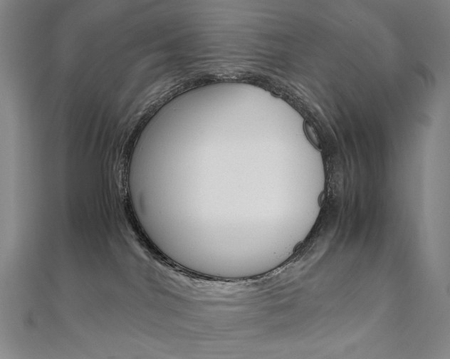 X0000110970044200906191120