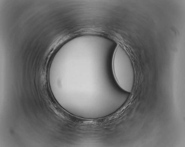 X0000110970050200906191119