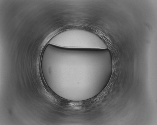 X0000110970051200906191119