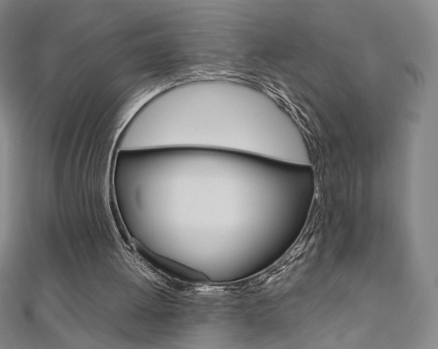 X0000110970052200906191119