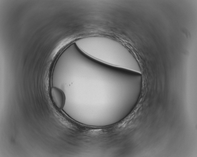 X0000110970054200906191119