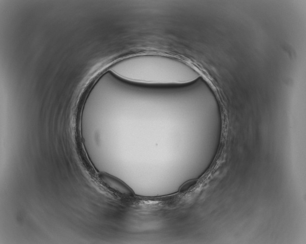 X0000110970055200906191119