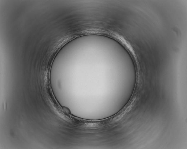 X0000110970057200906191119
