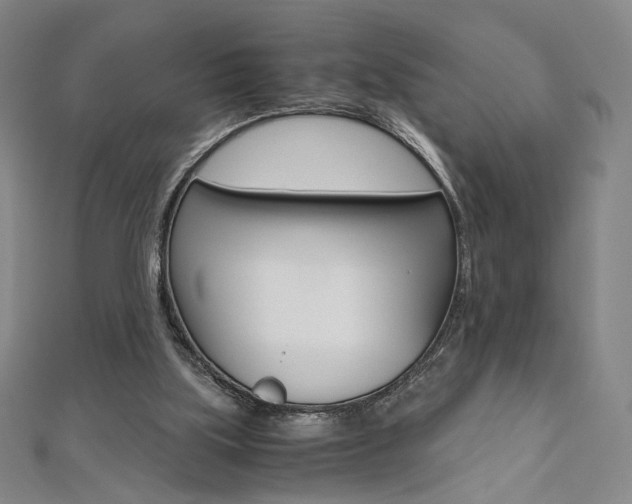 X0000110970059200906191119