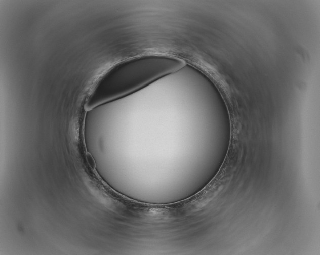 X0000110970060200906191119