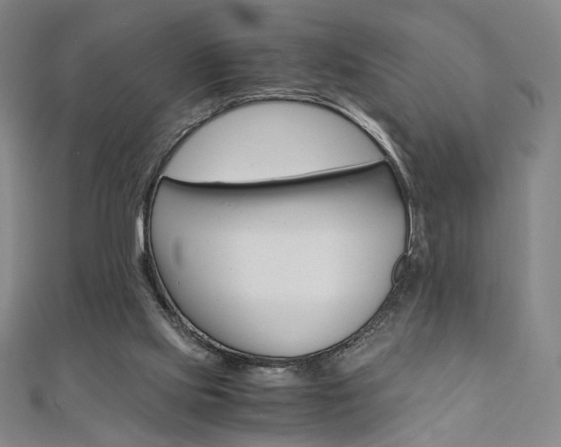 X0000110970061200906191119