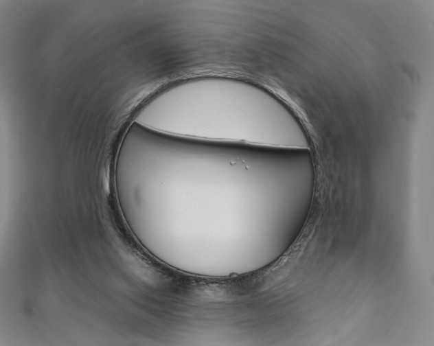X0000110970062200906191119