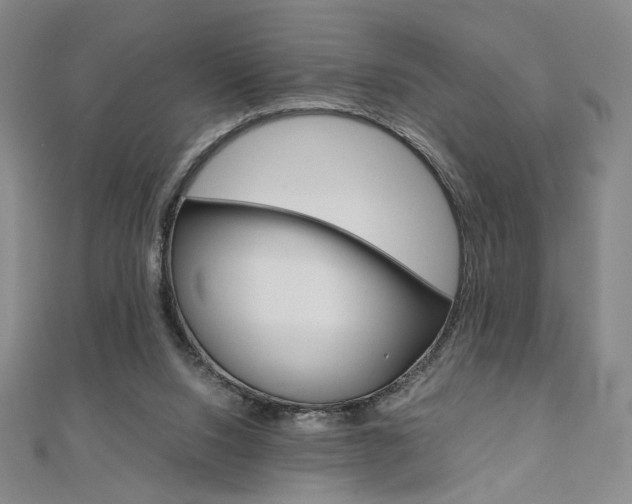 X0000110970064200906191119