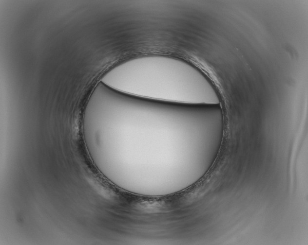 X0000110970065200906191119
