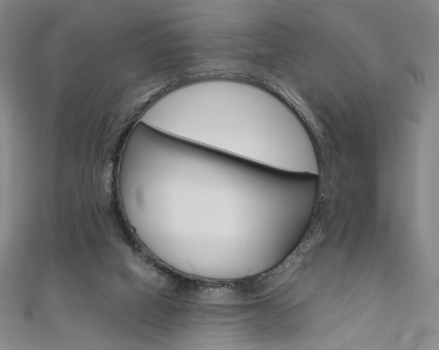 X0000110970066200906191119
