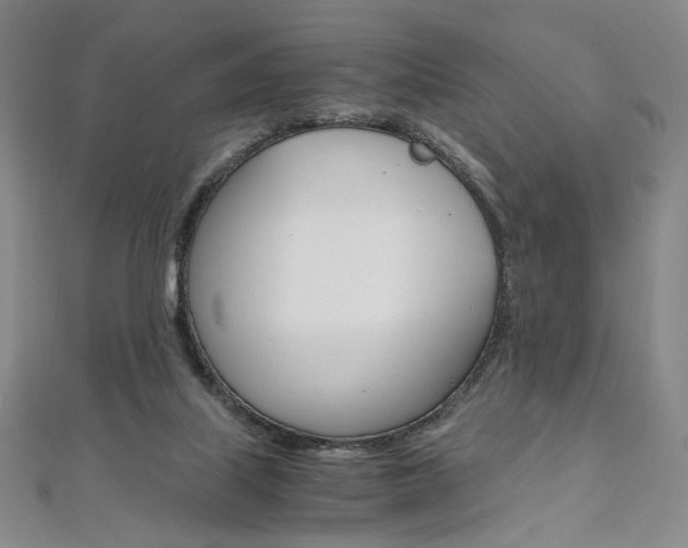 X0000110970067200906191119