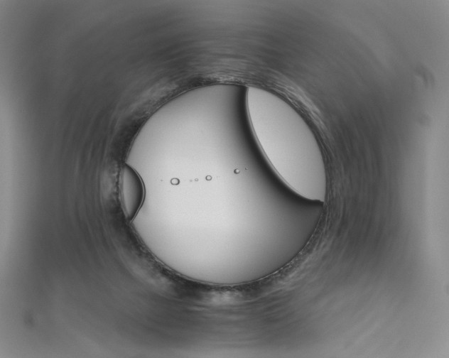 X0000110970073200906191119