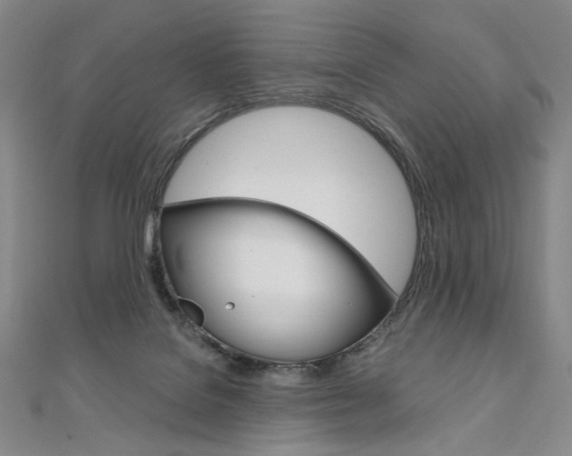 X0000110970076200906191120