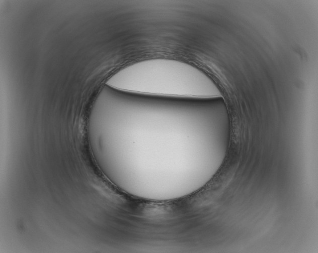 X0000110970077200906191120
