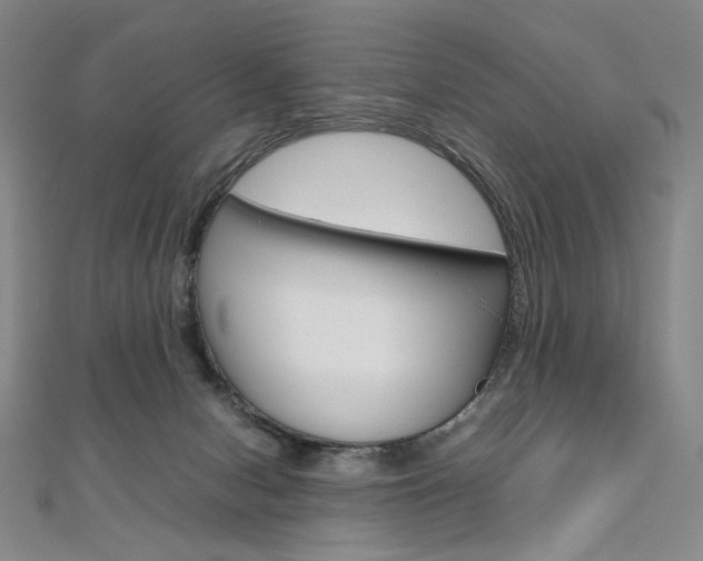 X0000110970078200906191120