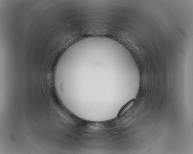 X0000110970079200906191120