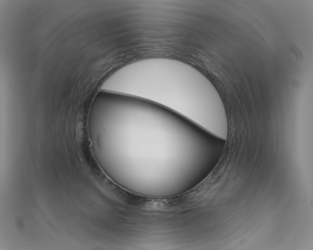X0000110970080200906191120