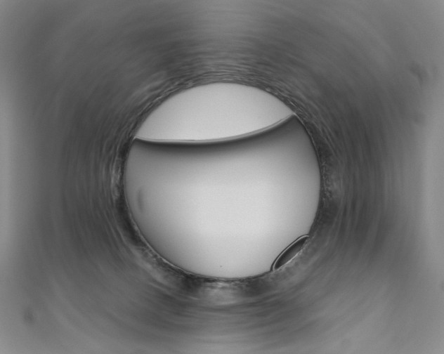 X0000110970082200906191120