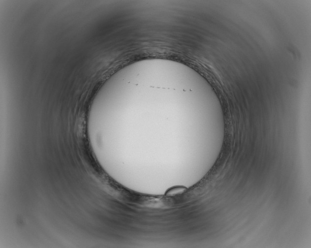 X0000110970083200906191120