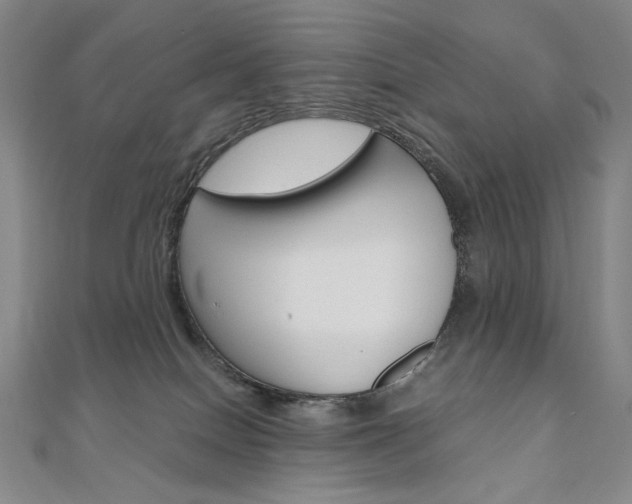 X0000110970086200906191120