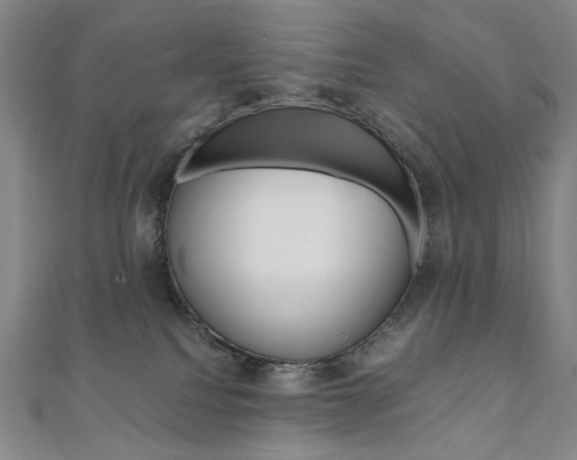 X0000110970088200906191120