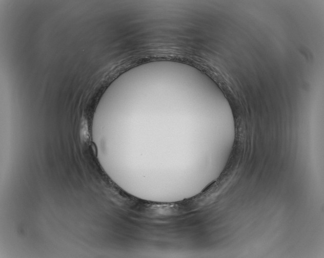 X0000110970089200906191120