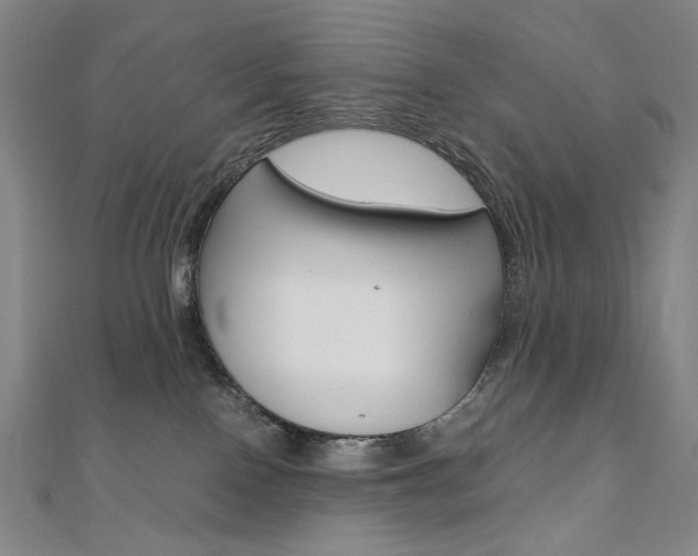 X0000110970090200906191120