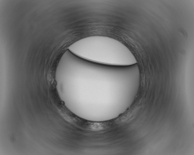 X0000110970091200906191120