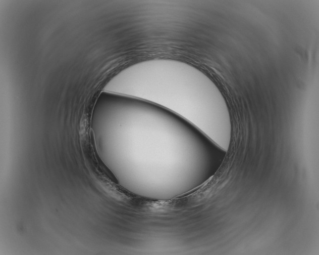 X0000110970092200906191120