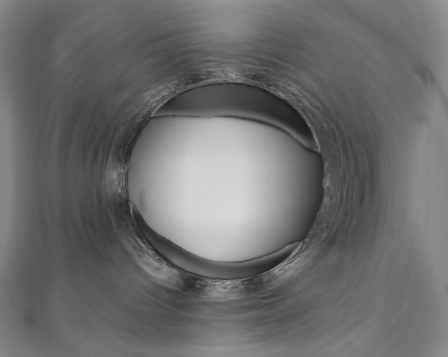 X0000110970096200906191120