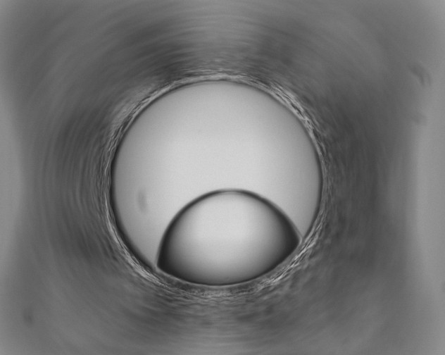 X0000110970097200906191119