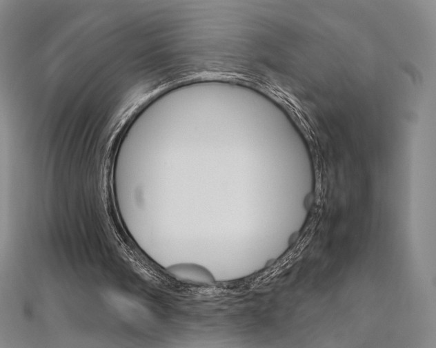X0000110970098200906191119